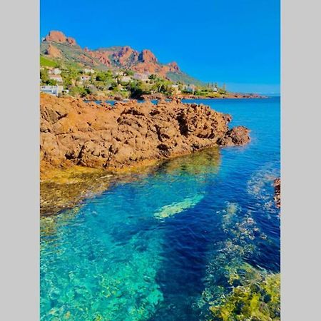 شقة Antheor - Vue Exceptionnelle - Refait A Neuf 4 Couchages Saint-Raphaël المظهر الخارجي الصورة